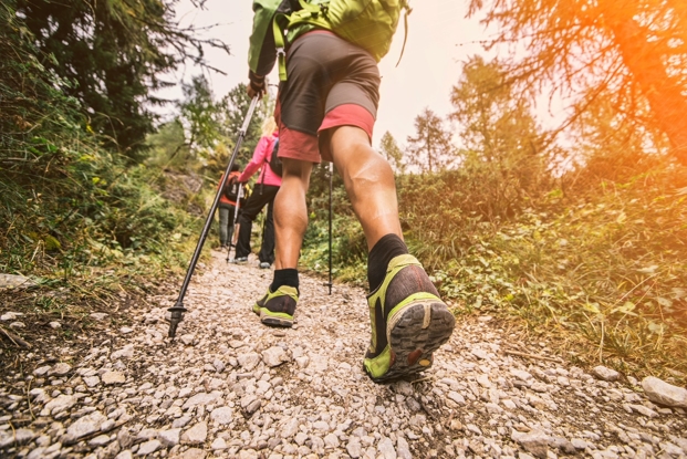 Outdoor Adventures and Wheelchair Sports Program: Hiking, Biking & Picnic
